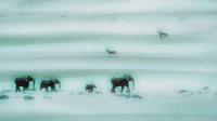 African Nomads - Print On Canvass Photography - By Sydney Parker, Nature Photography Artist