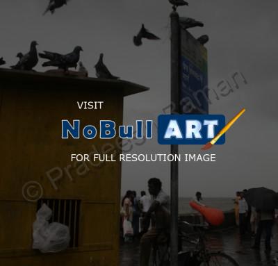 Gallery Watercolor In Mumbai I - Mumbai - Photography
