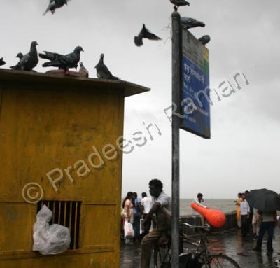 Gallery Watercolor In Mumbai I - Mumbai - Photography