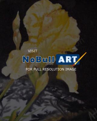 Flowers - Yellow Iris - Oil