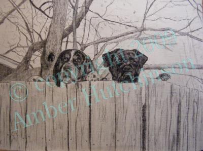 Animals - Jackson And Ridley - Charcoal