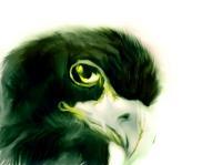 Photoshop - Eagle - Digital