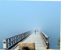 Into The Mist - Digital Photography - By Celeste Bolduc, Digital Photography Artist