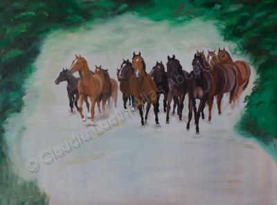 Oil Painting On Canvas - Herd Of Horse In Canter - Oil Colour On Canvas