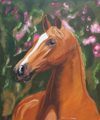 Oil Painting On Canvas - Wonderful Horse Portrait - Oil Colour On Canvas