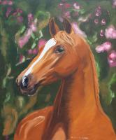 Noble Horse Portrait - Oil Colour On Canvas Paintings - By Claudia Luethi Alias Abdelghafar, Realistic Painting Artist