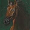 Horse Portrait On Green Velvet - Oil Colour On Velvet Paintings - By Claudia Luethi Alias Abdelghafar, Realistic Painting Artist