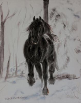 Oil Paintings On Velvet - Friesan Horse In Winter - Oil Colour On Velvet