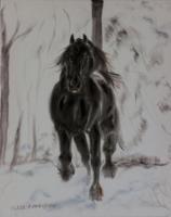 Friesan Horse In Winter - Oil Colour On Velvet Paintings - By Claudia Luethi Alias Abdelghafar, Realistic Painting Artist