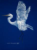 White Heron In Flight - Oil Colour On Velvet Paintings - By Claudia Luethi Alias Abdelghafar, Realistic Painting Artist