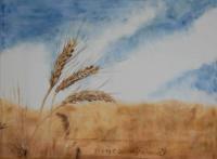 Wheat Ears Blowing In The Wind - Oil Colour On Velvet Paintings - By Claudia Luethi Alias Abdelghafar, Realistic Painting Artist