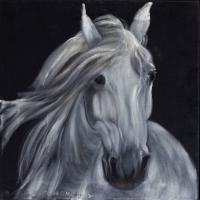 White Horse Portrait On Black Velvet - Oil Colour On Velvet Paintings - By Claudia Luethi Alias Abdelghafar, Realistic Painting Artist