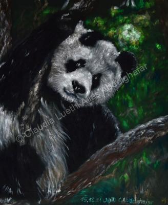 Oil Paintings On Velvet - Panda Bear - Oil Colour On Velvet