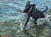 Go Chaz Go - Acrylic Paintings - By Chris Palmen, Impressionism Painting Artist