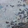 Tenno Lake Detail 1 - Acrilyc  Oil On Streched C Paintings - By Robert Keseru, Realism Painting Artist