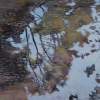 Tenno Lake Detail 4 - Acrilyc  Oil On Streched C Paintings - By Robert Keseru, Impressionism Painting Artist