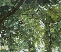 Woods Detail 1 - Acrilyc  Oil On Streched C Paintings - By Robert Keseru, Realism Painting Artist