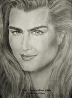 Brooke Shields - Pencil Drawings - By Marlene Despres, Photo Realism Drawing Artist