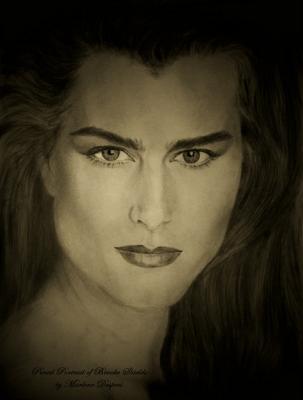 Celebrity Portraits - Brooke Shields - Pencil