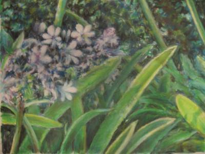 Floral - Blue Flowers - Pastel