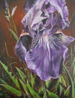 Iris - Acrylic Paintings - By Anita Dewitt, Floral Paintings Painting Artist