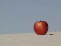 Desert Apple - Digital Digital - By Miraychel Stone, Abstract Digital Artist
