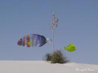 Two Fish - Digital Digital - By Miraychel Stone, Abstract Digital Artist