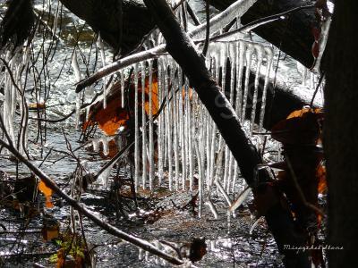 Beautiful Pics - Ice Chimes - Digital