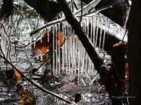 Ice Chimes - Digital Photography - By Miraychel Stone, Nature Photography Artist