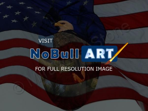 Beautiful Pics - Eagle And Flag - Digital