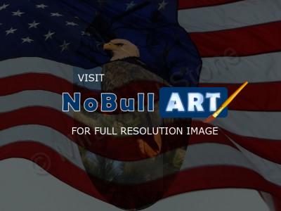 Beautiful Pics - Eagle And Flag - Digital
