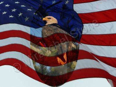 Beautiful Pics - Eagle And Flag - Digital