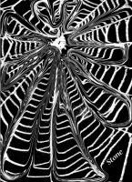 Night Web - Digital Photography - By Miraychel Stone, Abstract Photography Artist