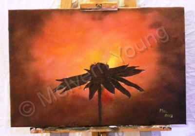 Aa - Chamomile Sunset - Oil On Canvass