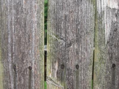 Representational Photography - Weathered Fence - Digital