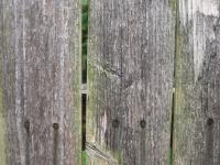 Representational Photography - Weathered Fence - Digital