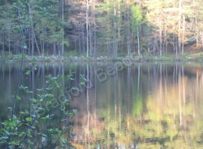 Landscape Photography - Reflections - Digital