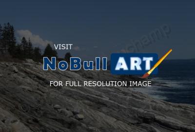 Landscape Photography - Near Pemaquid Light   April 2012 - Digital