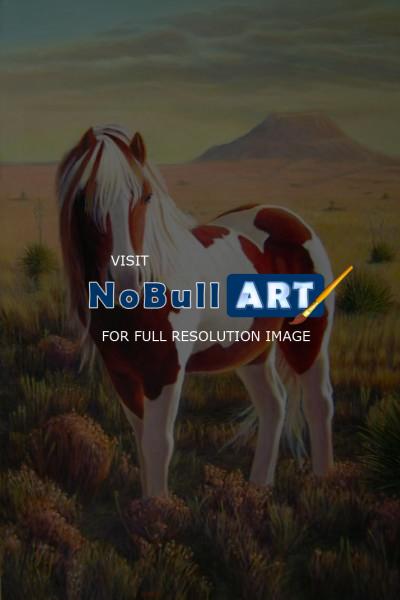 Southwest And Western - Southwest Wild Paint Pony - Acrylic On Canvas
