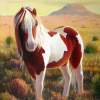 Southwest Wild Paint Pony - Acrylic On Canvas Paintings - By Charles Wallis, Realism Painting Artist