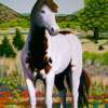 Texas Hill Country Stallion - Acrylic On Canvas Paintings - By Charles Wallis, Realism Painting Artist