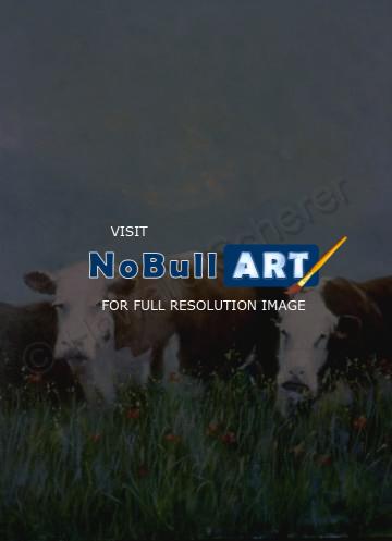 Animals - Two Cows - Oil