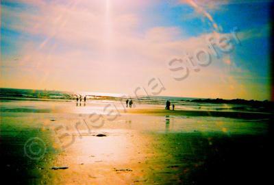 Vinece Beach - Paradise - Digital Camera