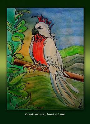 Bird - Look At Me Look At Me - Water Colours