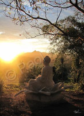 Sculptures - Buddha Sculpture - White Cement