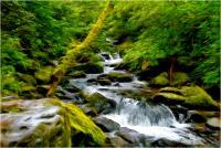 Photo Art - Flowing Stream - Digital