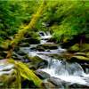 Flowing Stream - Digital Digital - By Shane Metler, Nature Digital Artist