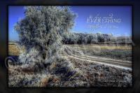 Frosty Lane In Blue With Verse - Digital Photography - By Terrie Galvin, Nature Photography Artist