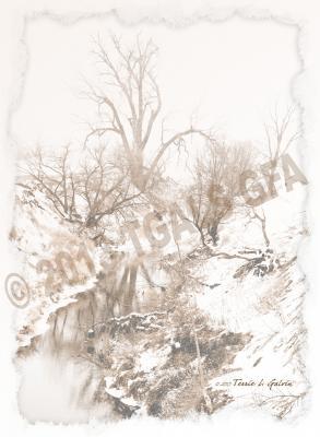 Landscape - Blizzard Over Logan Creek - Digital