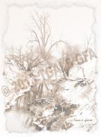 Blizzard Over Logan Creek - Digital Photography - By Terrie Galvin, Nature Photography Artist